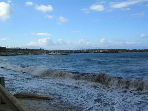 terrasini_im_februar01