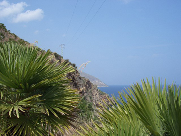 zingaro_00